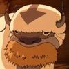 appa.pdf