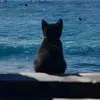 xavierocean365