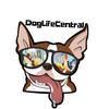 Doglifecentral