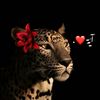 yookaa.amaar