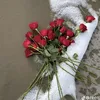 lola.soso4