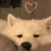 donuttt_08