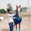 masoud_jambaz