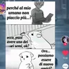 non.so.che.dure
