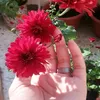 rawa_649