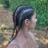 anais_acv