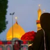 ali_ahm12