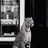 ghala_365
