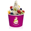 frozenyogurt15