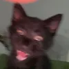 sc4ry02