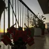 chilo_transformers