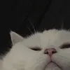 jameschen666