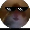 hamster4life380