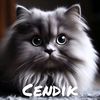 celendik