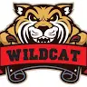 wildcat3397