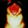 aleks_25774