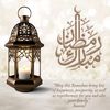 hamaada_mohamed