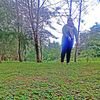harris_rayqal