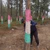 hasakhelakochautari.com