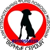 svetlana89109568259