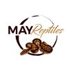 mayreptiles