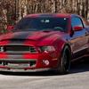 2014supersnake