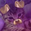 ccieeyl