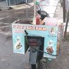mang sosis