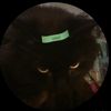 darkshadow754