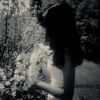 rilil_511