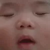 skibiditoiletmeomeo