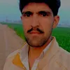 aligillgill03