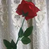 user365294901053355