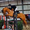 mias_showjumping