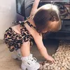 aalaaakamil