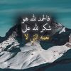 um.alaa6736