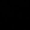 userr_29p