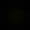 damon_hartsough