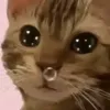 ssstokerr
