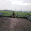 working.and.working