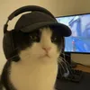 notadkz