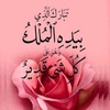 noor.aldeen30431