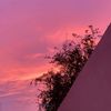 leo_ii7