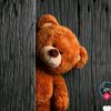 chandshabir786