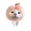 s_4sunoo