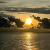 miky_finds