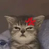 phuongw_dy