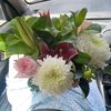 halya_emit