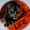 life4766976