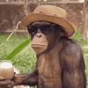 __kingjulien__